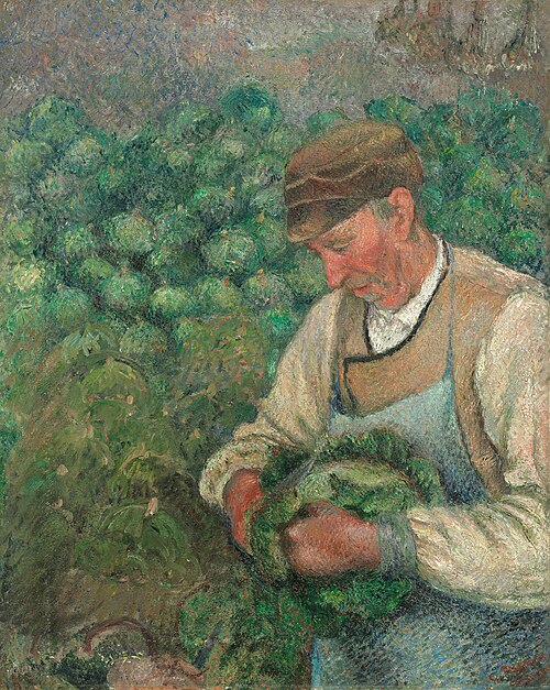 Camille Pissarro impressionist painting The Gardener showing an old peasant man in a brown cap holding a head of green cabbage in a field.